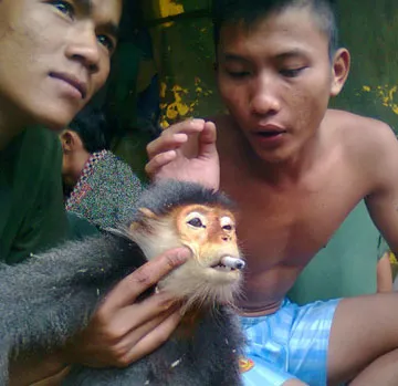 Vụ giết voọc ngũ sắc và đưa lên Facebook: Quân đoàn 3 khẩn trương xác minh ảnh 1