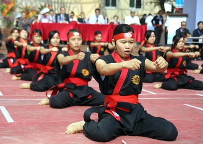 Lễ tổng kết biểu diễn võ thuật cổ truyền chào mừng 1.000 năm Thăng Long - Hà Nội ảnh 8