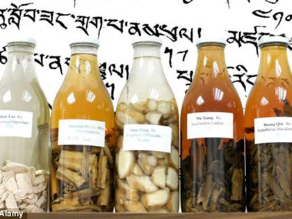 "Phản đối" hút mật, gấu mẹ giết con rồi tự sát ảnh 3