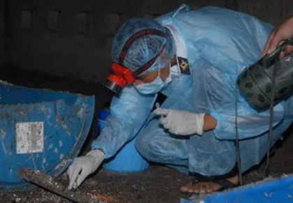 Chim yến nuôi tại Bình Dương âm tính với virus H5N1 ảnh 1 Chim yến nuôi tại Bình Dương âm tính với virus H5N1 ảnh 1