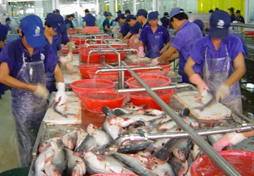 Rộng đường xuất khẩu thủy sản sang Mỹ ảnh 1 Rộng đường xuất khẩu thủy sản sang Mỹ ảnh 1