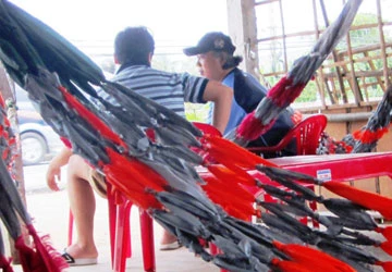 Trường gà lớn ở Tiền Giang ảnh 2 Trường gà lớn ở Tiền Giang ảnh 2