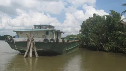 Long An: Sà lan đâm chìm ghe, 3 mẹ con chết thảm ảnh 1