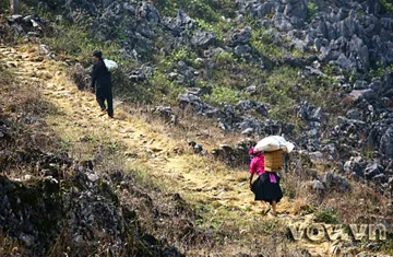 Lên cao nguyên đá Đồng Văn ảnh 10 Lên cao nguyên đá Đồng Văn ảnh 10