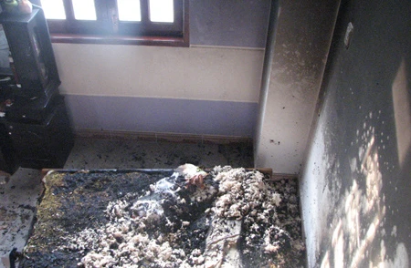 Vụ nhà báo Hoàng Hùng bị đốt: Khởi tố vụ án giết người ảnh 1