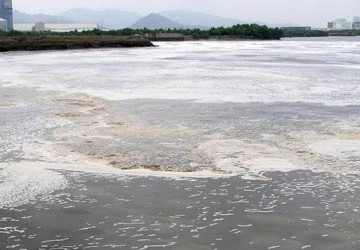 Nông dân được chọn tòa để kiện Vedan ảnh 1 Nông dân được chọn tòa để kiện Vedan ảnh 1