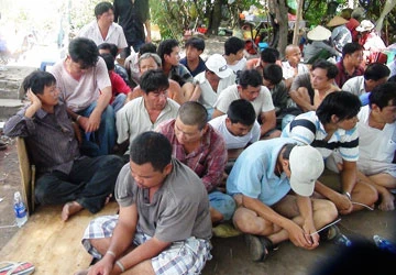 Ổ Đá gà ở Bình Hưng Hòa ra tòa ảnh 2