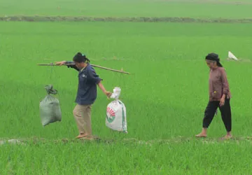 Xã “cái bang” thành xã “giàu” ảnh 1 Xã “cái bang” thành xã “giàu” ảnh 1