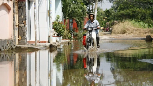 Triều cường dâng cao, bể bờ bao nhiều nơi ảnh 2