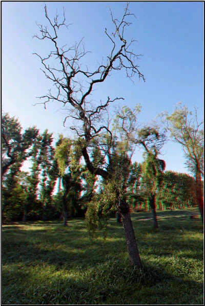 Tuyệt chiêu tạo ảnh 3D từ máy ảnh thông thường ảnh 3