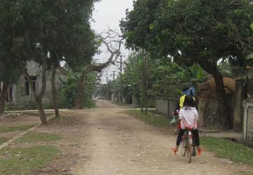 Xã cấm chó ảnh 1