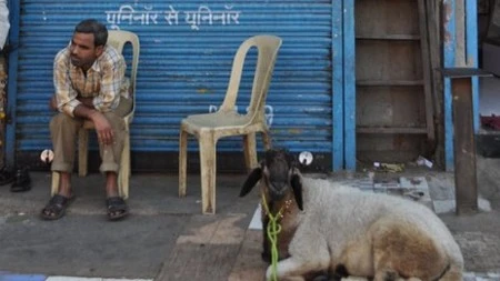 10 điều thú vị về Ấn Độ có thể bạn chưa biết ảnh 9 10 điều thú vị về Ấn Độ có thể bạn chưa biết ảnh 9