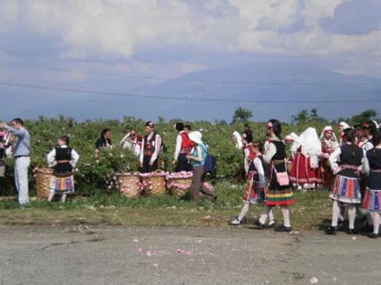 Lễ hội hoa hồng tại Bulgaria ảnh 2