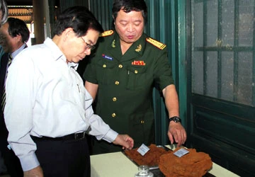 Tính toán thật kỹ khi khai thác bauxite ảnh 1