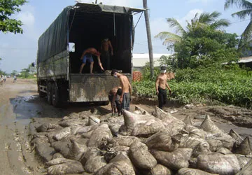 10 năm làm không xong tỉnh lộ ảnh 1 10 năm làm không xong tỉnh lộ ảnh 1