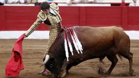 Bãi bỏ lệnh cấm truyền hình trực tiếp đấu bò tót ảnh 1