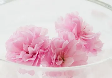Làm đẹp nhờ hoa ngày Tết ảnh 2 Làm đẹp nhờ hoa ngày Tết ảnh 2