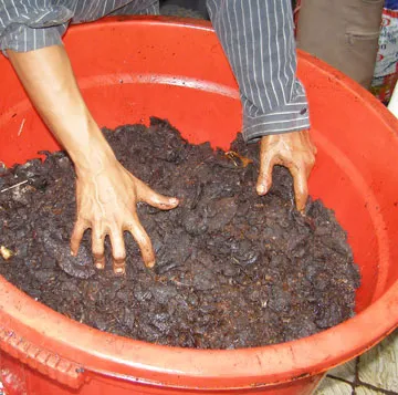 Phù phép lòng bò thành khô bò ảnh 3 Phù phép lòng bò thành khô bò ảnh 3