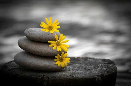 10 ảnh màu cục bộ ấn tượng được tạo từ ứng dụng iPhone ảnh 15 10 ảnh màu cục bộ ấn tượng được tạo từ ứng dụng iPhone ảnh 15