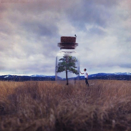 Thú vị bộ ảnh cuộc phiêu lưu của "người tí hon" ảnh 15