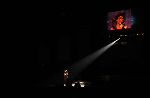 Giải Grammy 54: Vinh danh Adele, Whitney Houston ảnh 2