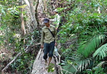Kỳ bí ở "Thung lũng mất tích": Ngọc Rêu huyền bí ảnh 2 Kỳ bí ở "Thung lũng mất tích": Ngọc Rêu huyền bí ảnh 2