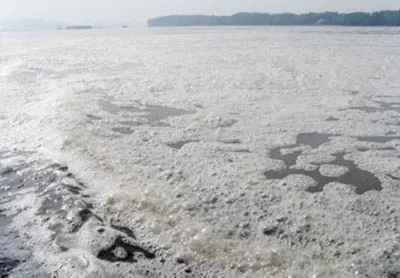 Chuyện xưa chuyện nay: Tên sông Thị Vải? ảnh 1 Chuyện xưa chuyện nay: Tên sông Thị Vải? ảnh 1