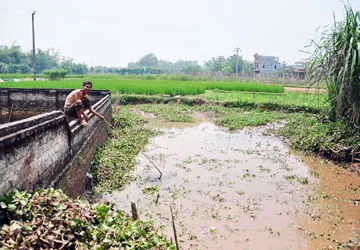 Tội ác tày đình và sự nhân đạo của luật ảnh 1 Tội ác tày đình và sự nhân đạo của luật ảnh 1