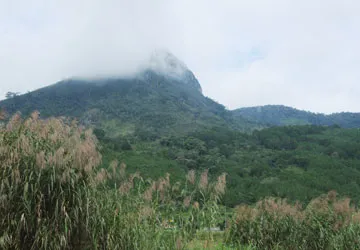 Mây gió tâm linh ảnh 1