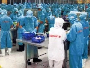 Ngừng giao dịch đối với cổ phiếu CAD trên HoSE ảnh 1