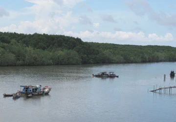 Đê biển, đê sông và núi tiền chống ngập - Bài cuối: Đê biển sẽ gây hại môi trường ảnh 1