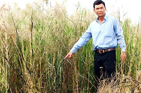 Hiện trường nơi phát hiện thi thể người đàn ông. Ảnh: Tuệ Mẫn