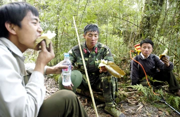 Đám cháy rừng Hoàng Liên đã được khống chế vào mồng 2 Tết ảnh 1