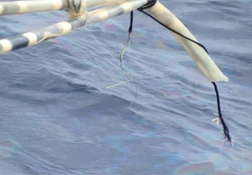 Miệng nói hòa bình không xưng bá - Tay làm phức tạp hóa tình hình ảnh 1