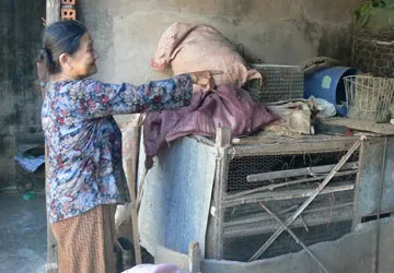 “Giặc khỉ” trả thù ảnh 3 “Giặc khỉ” trả thù ảnh 3