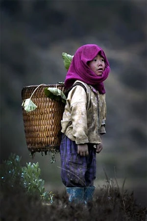 Ảnh phụ nữ - một nửa thế giới ảnh 19