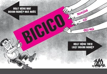 Cổ đông kiện đòi hơn 7,7 tỉ đồng ảnh 1