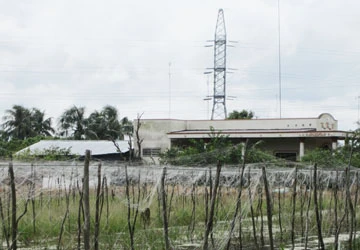 Trường gà lớn ở Tiền Giang ảnh 1 Trường gà lớn ở Tiền Giang ảnh 1