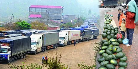 Dưa hấu xếp hàng chờ... thối ảnh 1