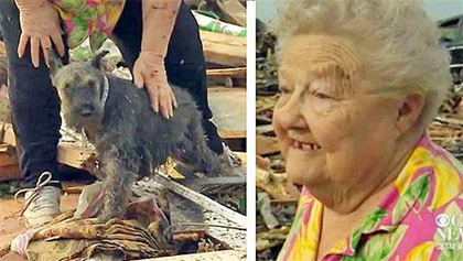 Lốc xoáy Okalahoma: Chú chó không chịu rời thi thể chủ ảnh 3