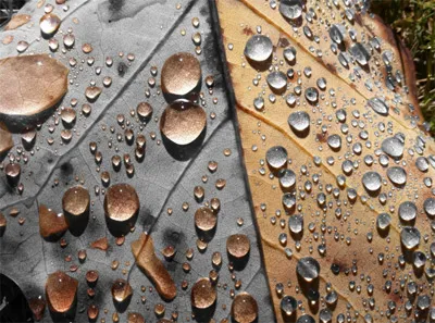 10 ảnh màu cục bộ ấn tượng được tạo từ ứng dụng iPhone ảnh 10 10 ảnh màu cục bộ ấn tượng được tạo từ ứng dụng iPhone ảnh 10