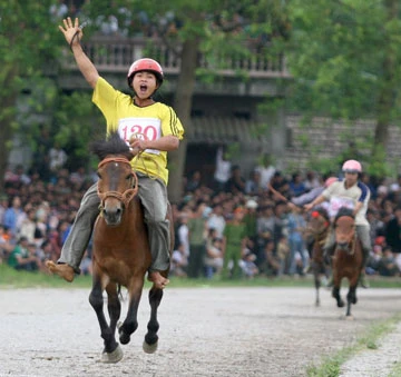 Đua ngựa thồ trên rẻo cao ảnh 5