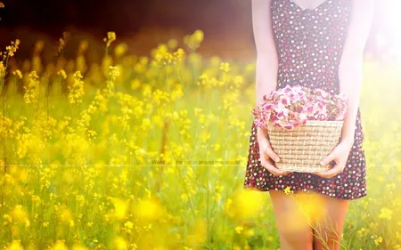 Những bông hoa tuyệt đẹp trên desktop mừng ngày Phụ nữ Việt Nam ảnh 4