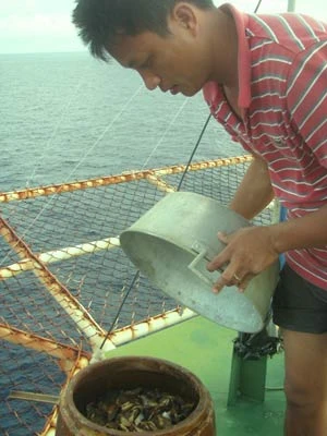 Cuộc sống “tự cấp, tự túc” ngoài khơi ảnh 2 Cuộc sống “tự cấp, tự túc” ngoài khơi ảnh 2