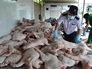 Bắt giữ hơn 1,1 tấn thịt heo bệnh chuyển vào TP.HCM ảnh 1