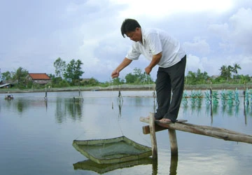 Chuyện người đất Mũi chống tham nhũng ảnh 1 Chuyện người đất Mũi chống tham nhũng ảnh 1