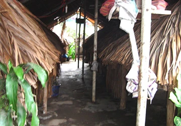 Rộ nạn cà phê kích dục ảnh 2