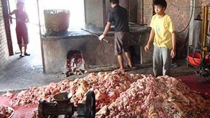 Kinh hoàng chế dầu thải thành dầu ăn ảnh 1