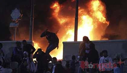 Bạo loạn sân cỏ, ít nhất 73 người chết! ảnh 1