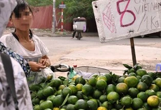 Cam Trung Quốc “đội lốt” Hà Giang ảnh 1